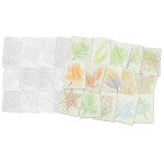 Leaf Rubbing Plates, 4" x 5", 16 designs