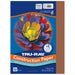 Tru Ray 9 X 12 Brown 50 Sht Construction Paper