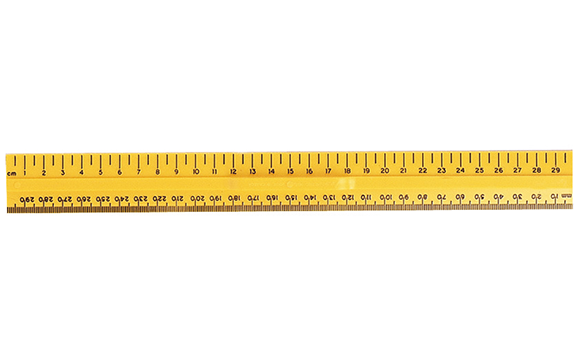 Plastic Ruler 30 cm / mm